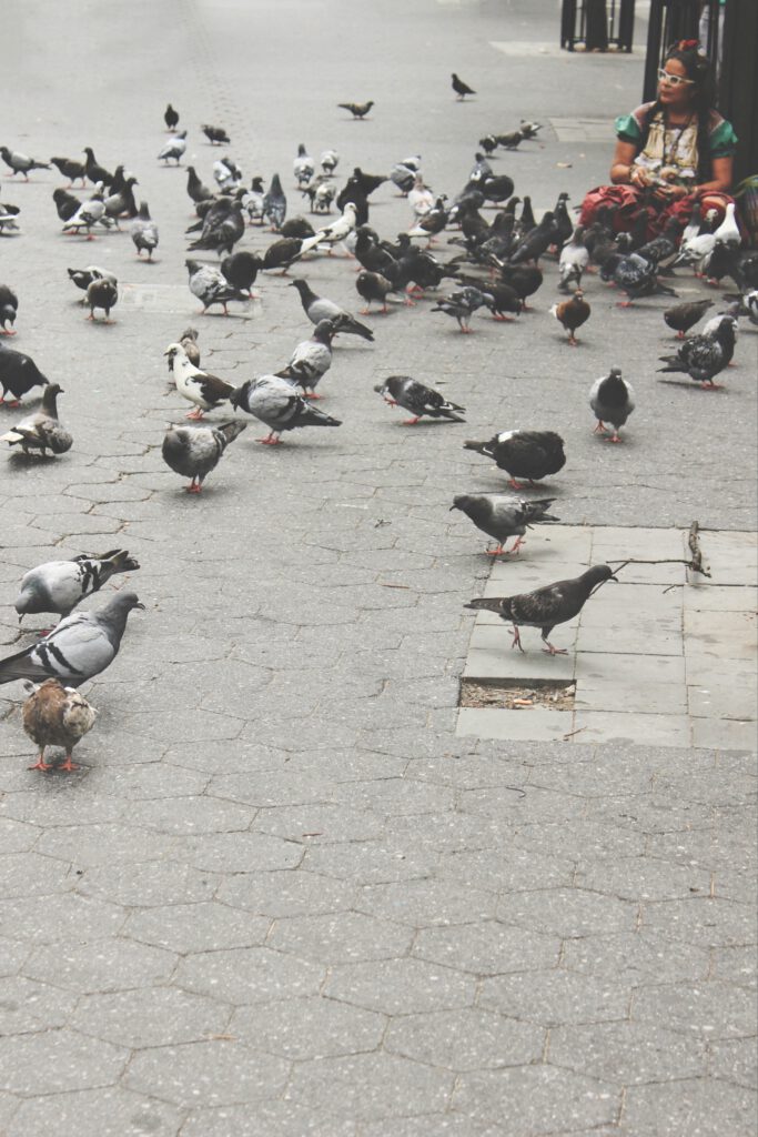 Bild in Hochformat von einer schwarzen Frau mit bunter Kleidung die auf dem Boden sitzt und eine riesen Menge an Tauben füttert. Aus dem Artikel New York Reise 2019