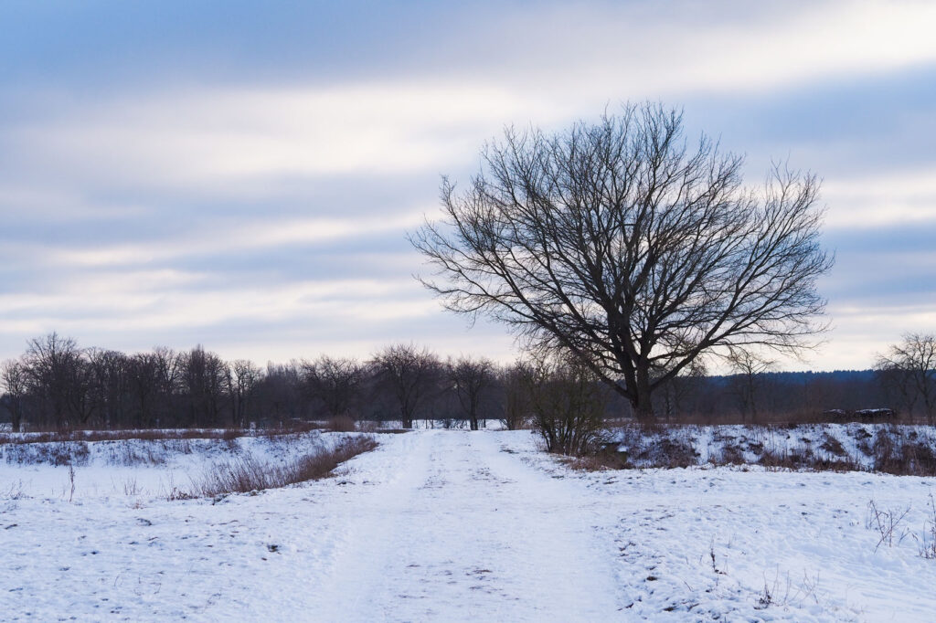 Verschneite Felder im Winter aus dem Artikel Glück im Alltag – Top 5 Dinge, die uns glücklich machen